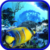 Scuba dive. Hidden objects