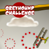 Greyhound Challenge